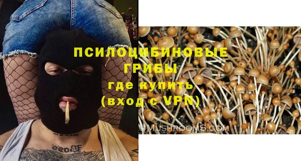apvp Алексин
