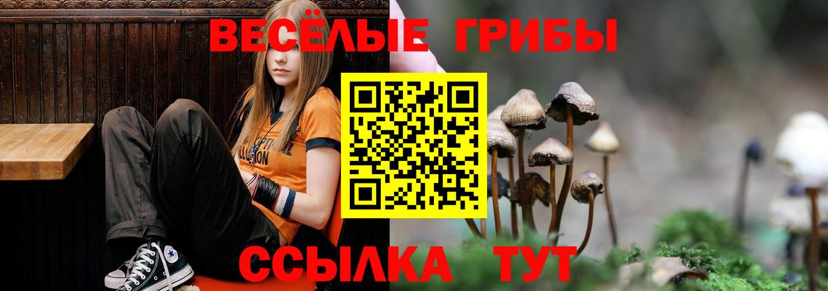 Галлюциногенные грибы ЛСД  Вход с VPN  Миасс  Галлюциногенные грибы ЛСД 
